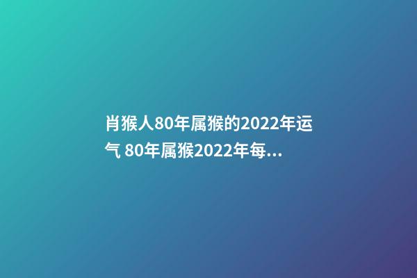 肖猴人80年属猴的2022年运气 80年属猴2022年每月运势，1980年属猴人2022年运程-第1张-观点-玄机派